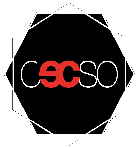 logo CECSO