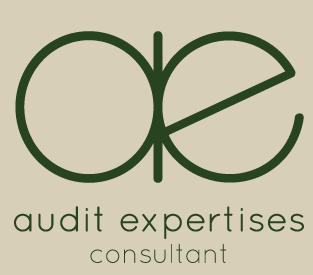 audit expertise consultant